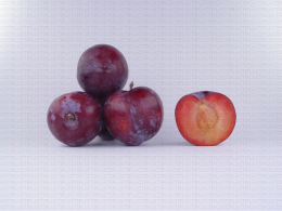 Variété de prune : Ruby Red